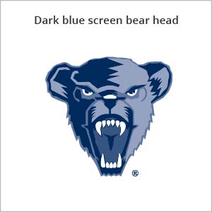Dark blue screen bear head logo