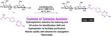 Tetrazine neoglycoside glycan auxiliary
