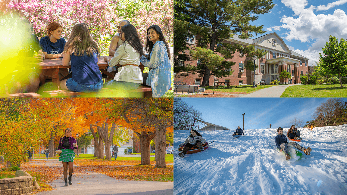 Help university maine business school university of maine