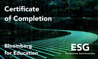 ESG Logo for Certification