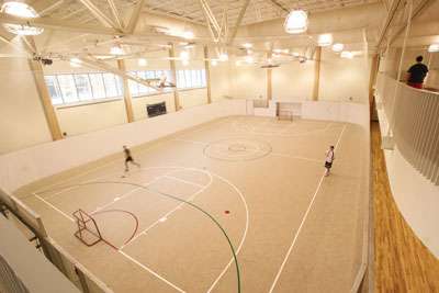 Multiple activity court