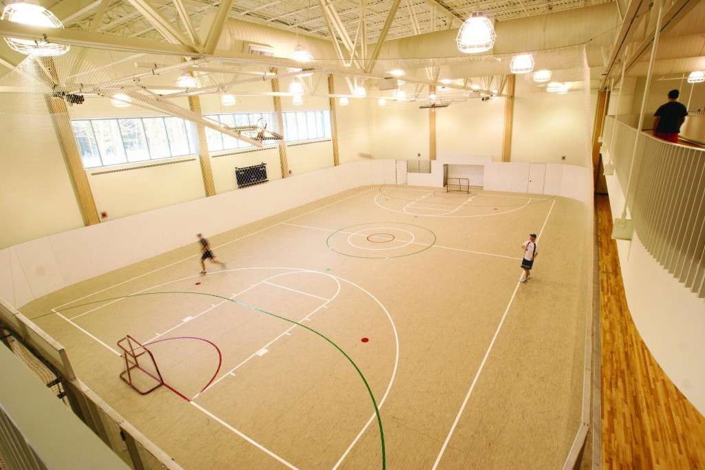 Multi-activity Court