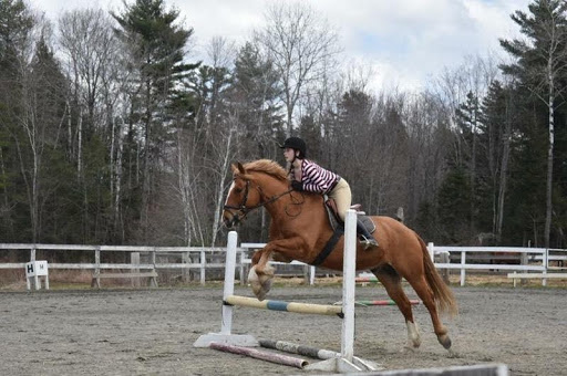 umaine equestrian student and horse jumping