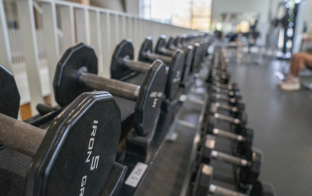 A photo of free weights