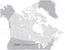 Canada Worksheet-Blank  thumbnail