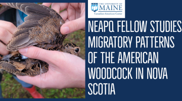 NEAPQ Fellow Liam Berigan Studies Migratory Patterns of the American Woodcock in Nova Scotia (Above the title is the Canadian American Center logo. On the left is a picture of an American Woodcock being held by a research student, while another student attaches a tracker. It is a small brown bird)