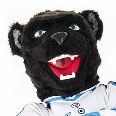 Bananas the Blackbear