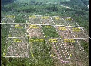 Aerial, landscape view of forestry experiment with grids overlain 