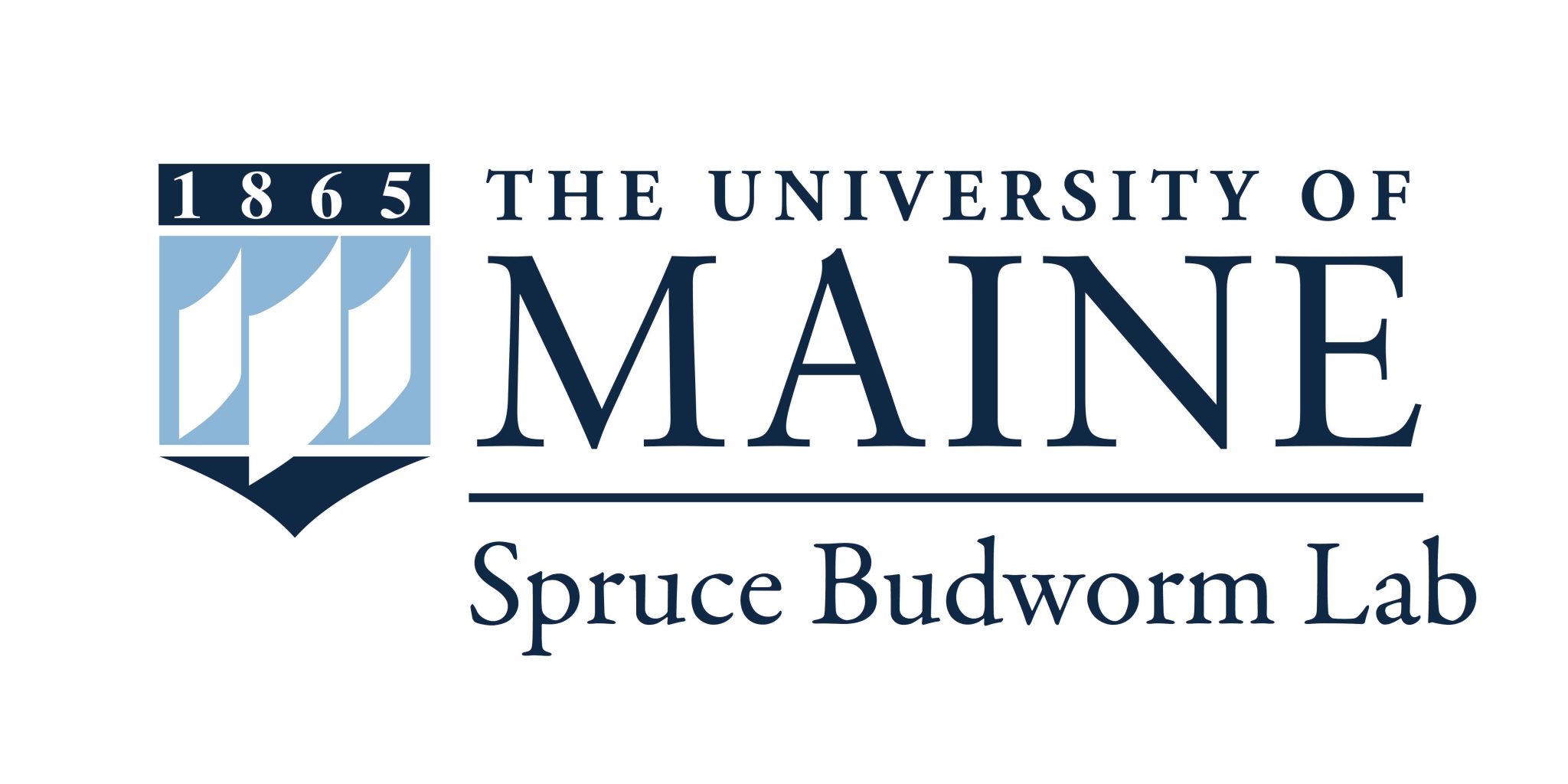 UMaine Spruce budworm Logo