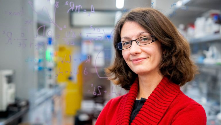 NSF awards CBE’s Prof. Howell $550K for microfluidics research and development with Sappi