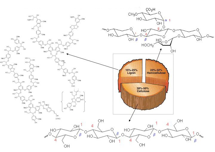 wood-department-of-chemistry-university-of-maine