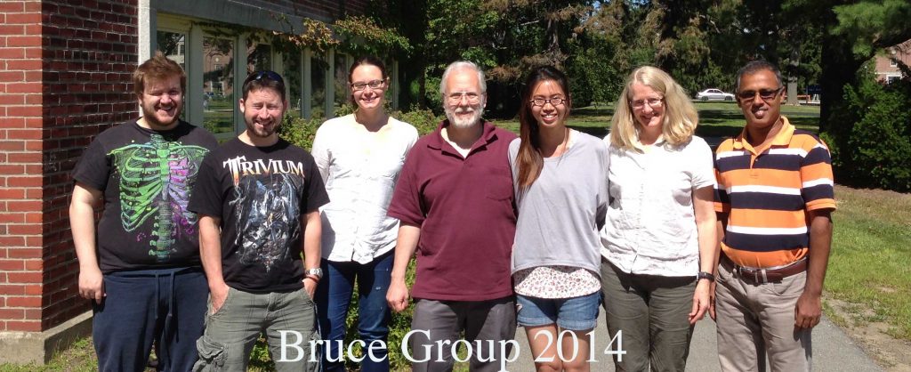 Bruce-Group-2014-web