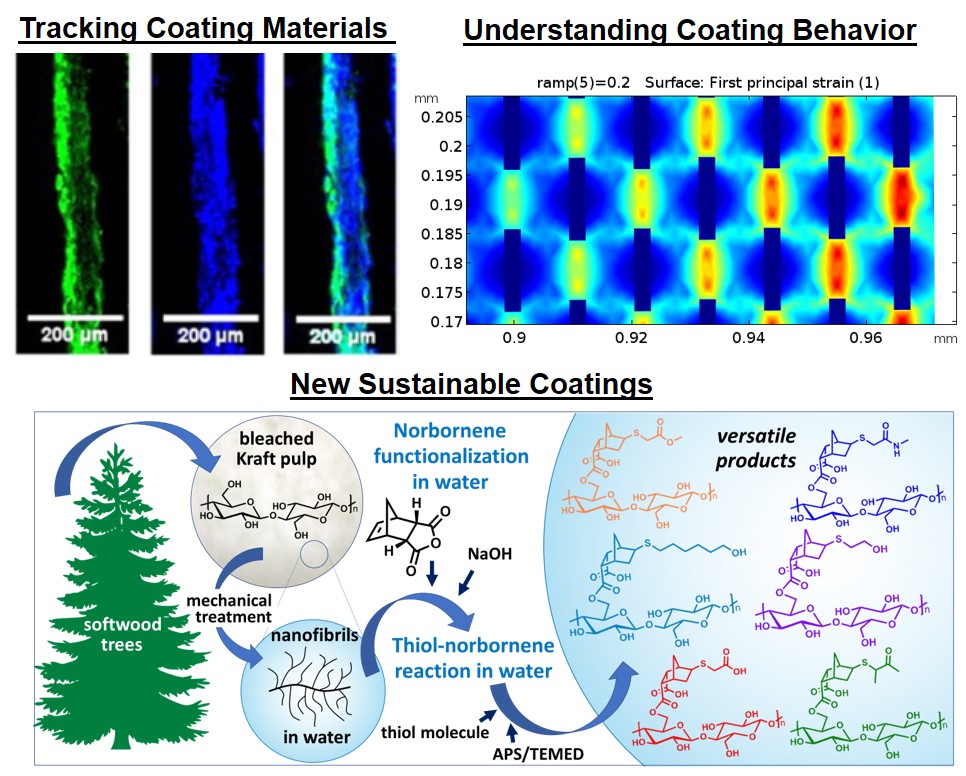 Advanced sustainable paper coatings