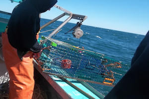 Deploying the camera for barotrauma research