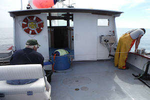 Hauling longlining gear for the sentinel survey