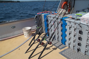 Jigging gear for the sentinel survey