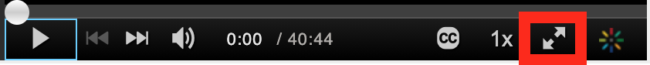 The second to last button in the video player tool bar will expand with window to full screen.