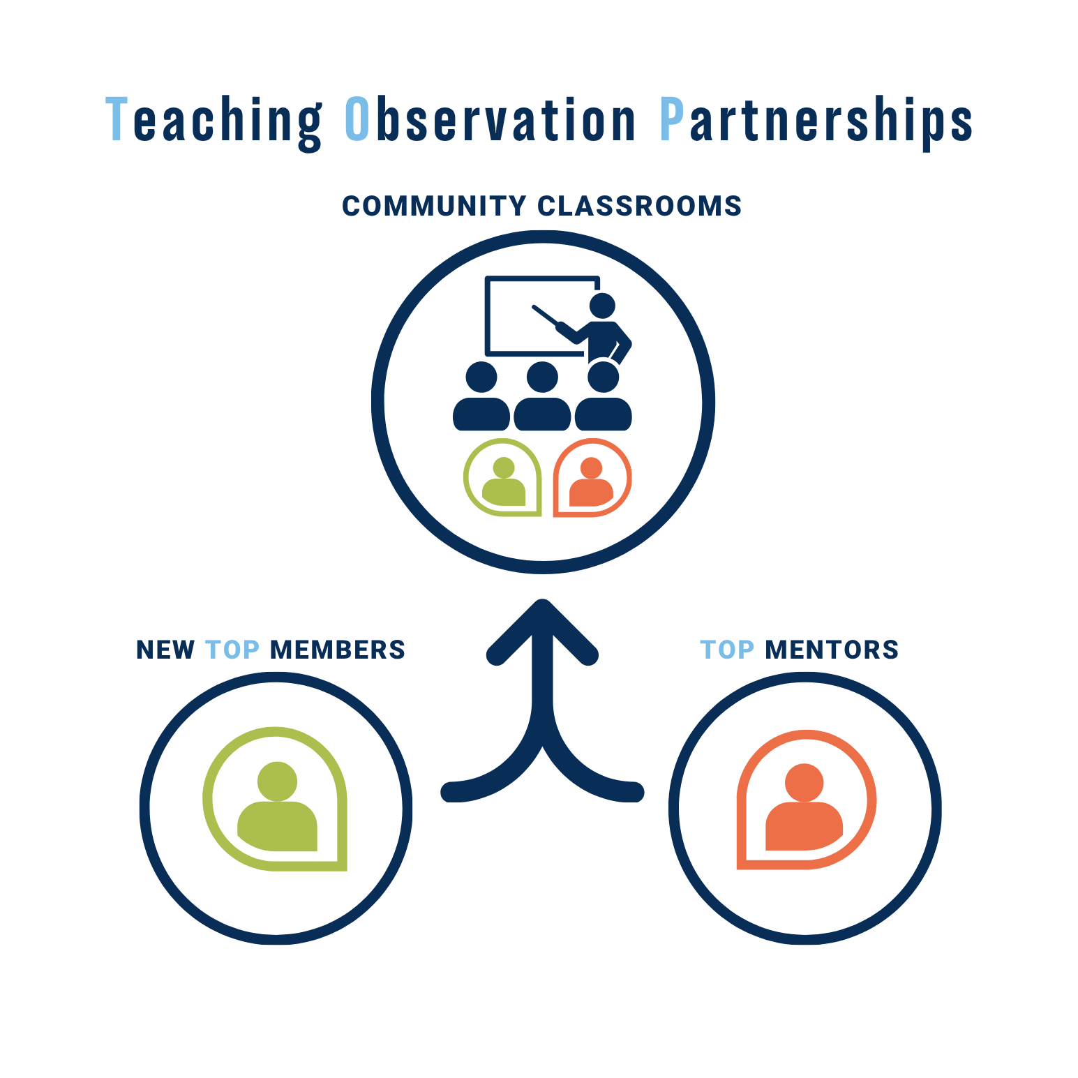 A graph of breaking down the TOP. How Mentors and Members work together to observe classrooms.