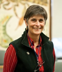 Ellie Groden