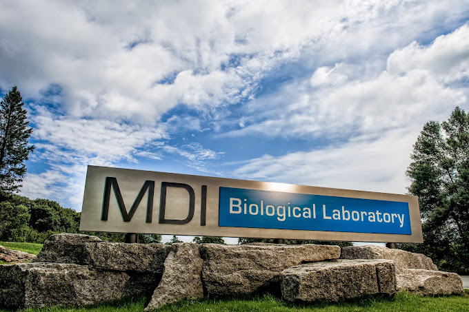 Photo of MDI Biological Labratory