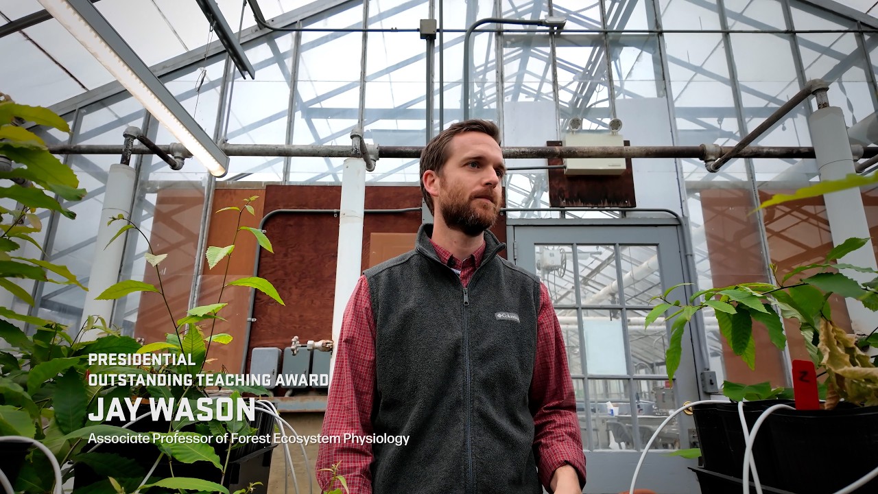 A photo of Jay Wason with the text "Presidential Outstanding Teaching Award Jay Wason Associate Professor of Forest Ecosystem Physiology"