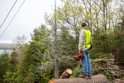 A person standing on a log