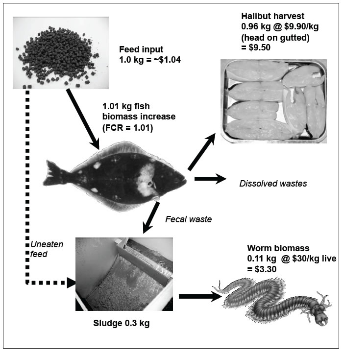 integrated-multi-trophic-aquaculture-center-for-cooperative