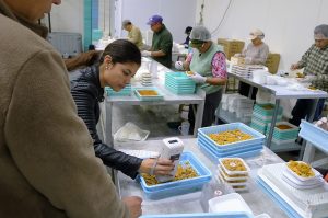 Diana uses a portable colorimeter to measure color values of processed sea urchin roe