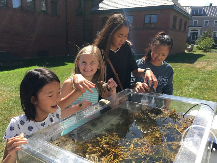 Eastport Salmon Festival Center for Cooperative Aquaculture Research