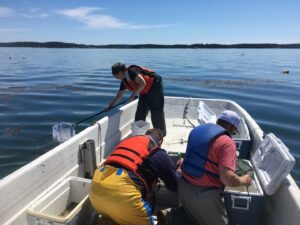 crew of three fishing for lumpfish