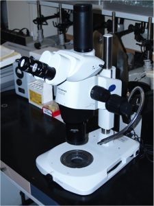 Light Microscope Equipment