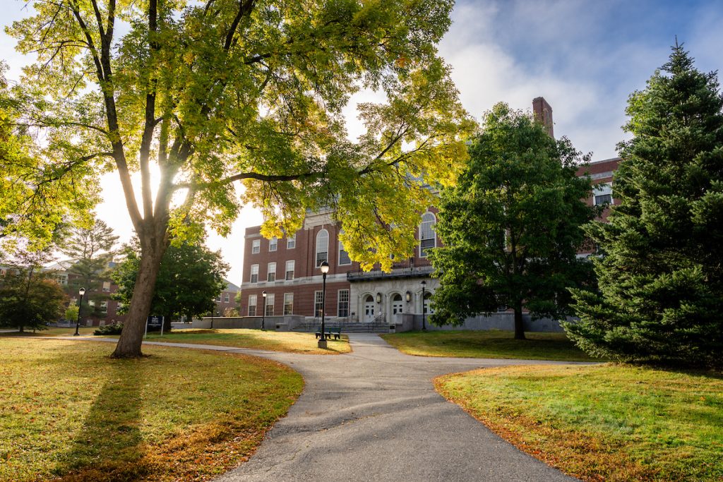 Image of pathway leading to Fogler library. Large tree with sun poking through the branches on the right hand side.