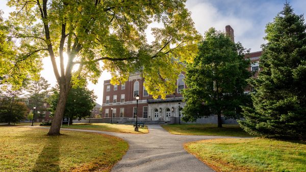 Image of pathway leading to Fogler library. Large tree with sun poking through the branches on the right hand side.