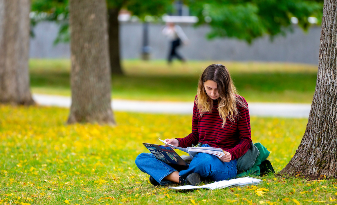 A photo of a student working in the grass