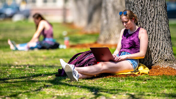 student sitting under tree on laptop in the summer