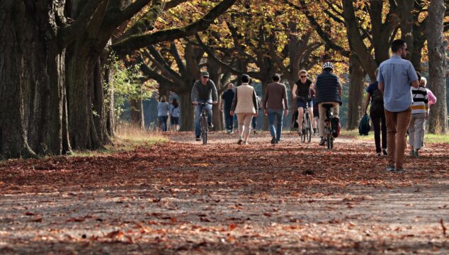People walking and biking between autumn trees