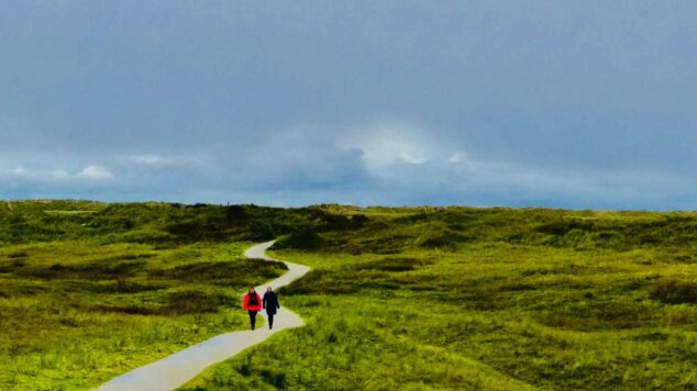 2 people walking on a winding path in a green field