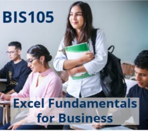 students in a class with the words BIS 105 Excel fundamentals for business