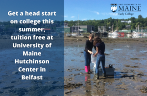 Two Students Conducting Field Research in Belfast Bay