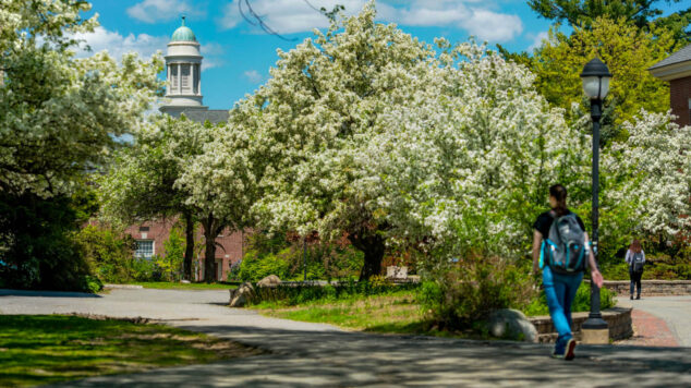 Student walks to class next to flowering trees