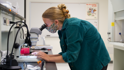 Student looks at something through microscope.