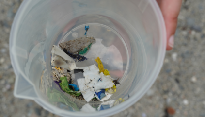View from above of small plastic fragments in container.