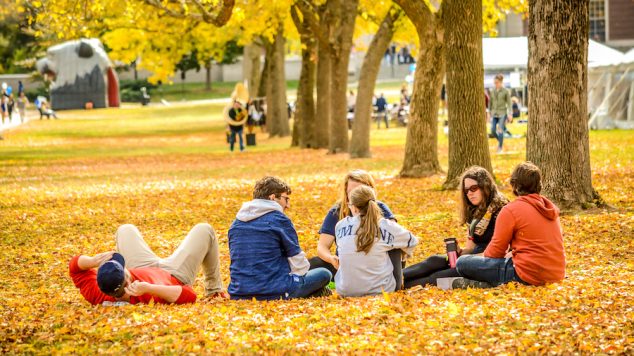 Students sit together at campus mall on the ground covered in golden leaves.