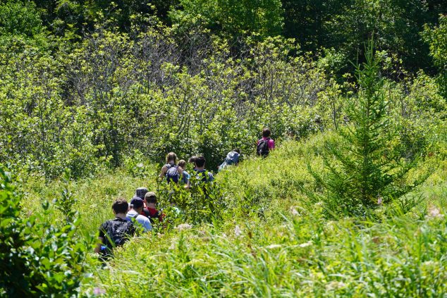 Students hike through tall grass