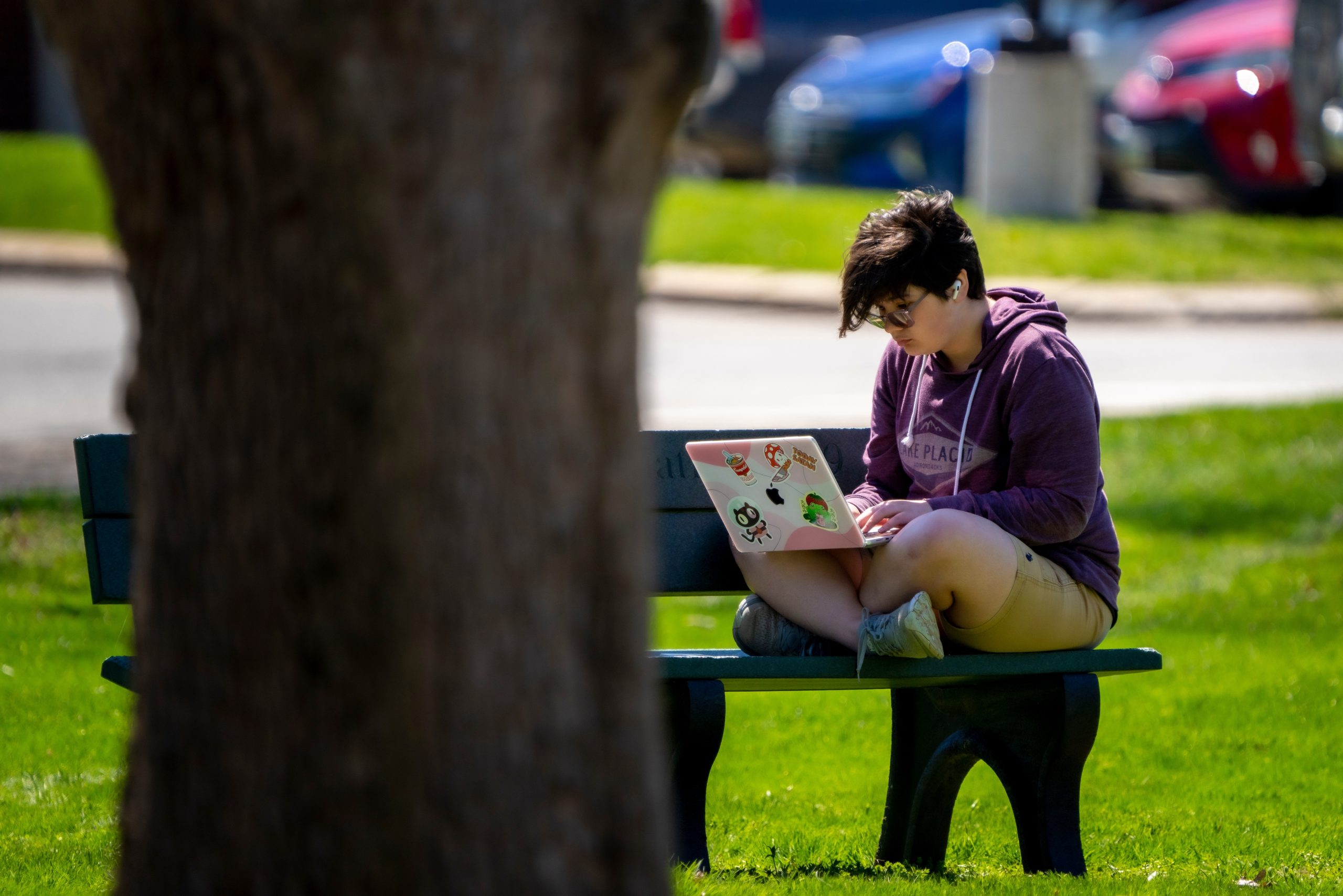 Student studying on campus