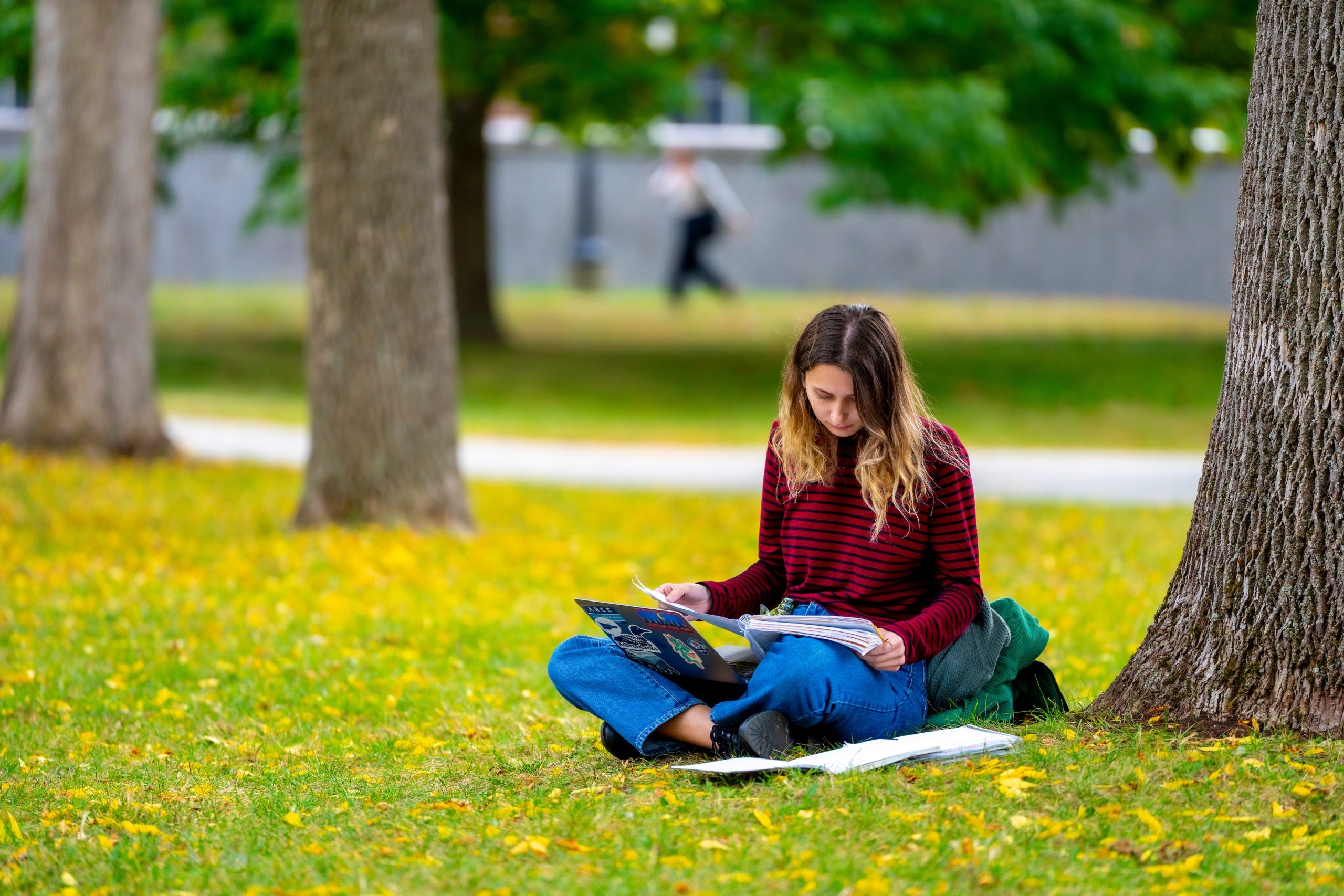 student studying outside on the mall