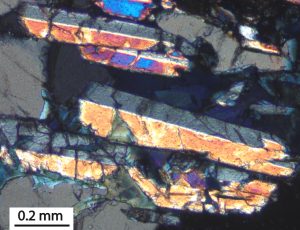 Photomicrograph of twinned boralsilite prisms. Crossed nicols. Larsemann Hills