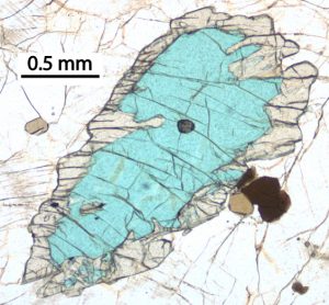 Photomicrograph of prismatine (high relief, pale) around grandidierite (blue) in plagioclase. Brown grains are tourmaline. Plain light. Larsemann Hills.