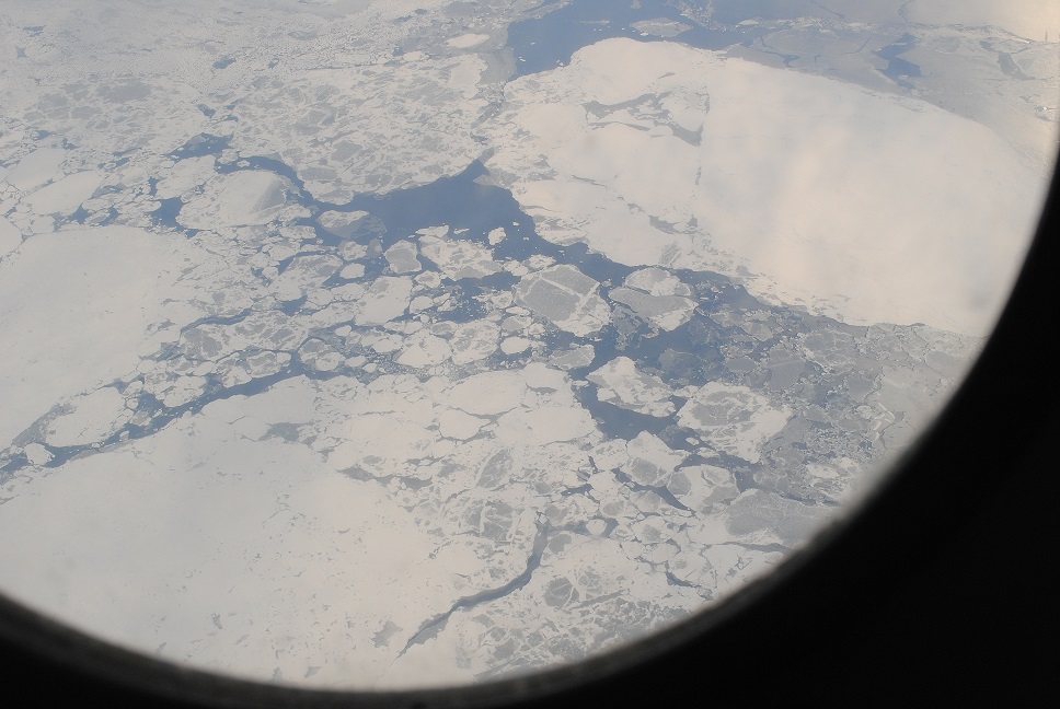 Sea ice