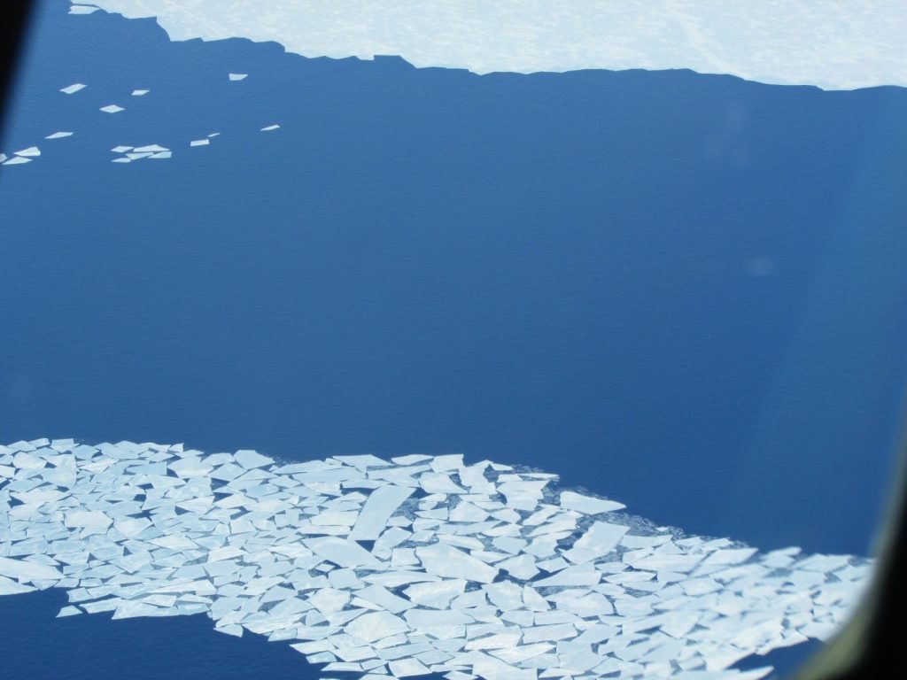 Sea ice